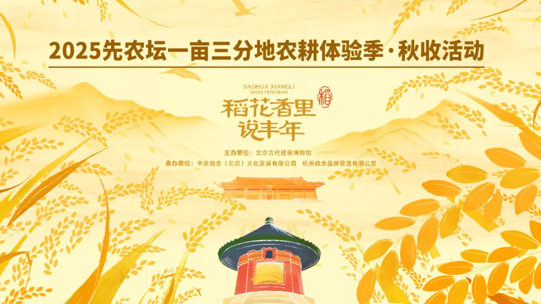 Xiannongtan × Weinian Group | 2025 Xiannongtan One Mu and Three Fen Field Autumn Harvest Event · Rice Noodle Culture Festival Successfully Concludes