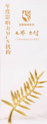 2019年度影響力MCN機構
淘美妝商友會