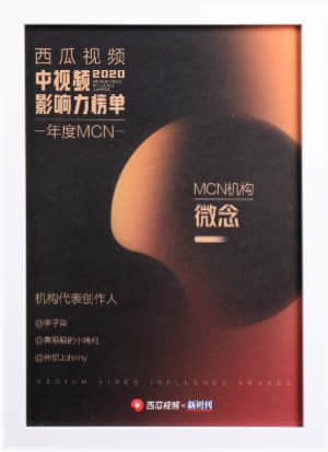 2020 影響力榜單
年度MCN機構
西瓜視頻＆新週刊