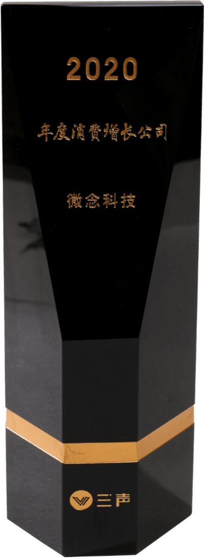 2020年度消費增長公司
三聲